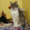Отзыв от Элла Калачева